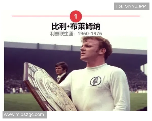 绰号82的足球明星背后的传奇故事与辉煌成就揭秘