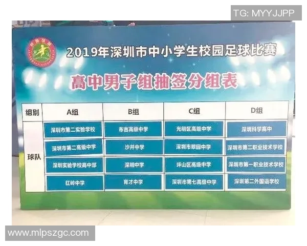 翠园中学足球明星的成长之路与辉煌成就揭秘