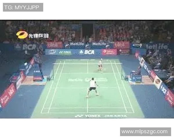 杭州羽毛球队的战术控制与训练策略深度解析 杭州羽毛球队的战术控制与训练策略深度解析